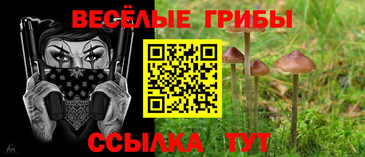 Галлюциногенные грибы ЛСД Калач-на-Дону